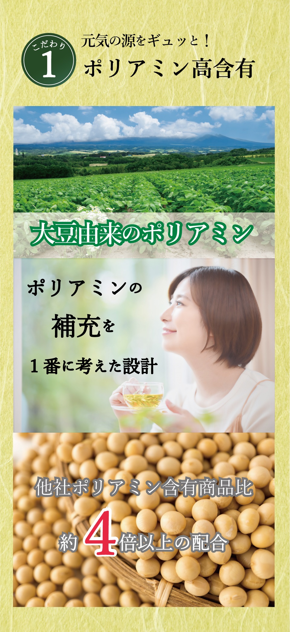 こだわり1　元気の源をギュッと！ポリアミン高含有　大豆由来のポリアミン　ポリアミンの補充を1番に考えた設計　他社ポリアミン含有商品比約4倍以上の配合