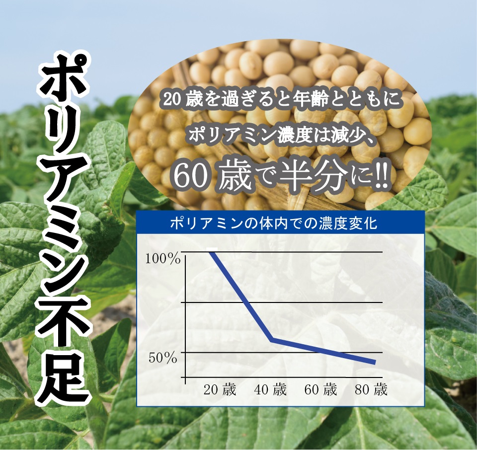 ポリアミン不足　20歳を過ぎると年齢とともにポリアミン濃度は減少、60歳で半分に$203C　ポリアミンの体内での濃度変化　100％　50％　20歳　40歳　60歳　80歳